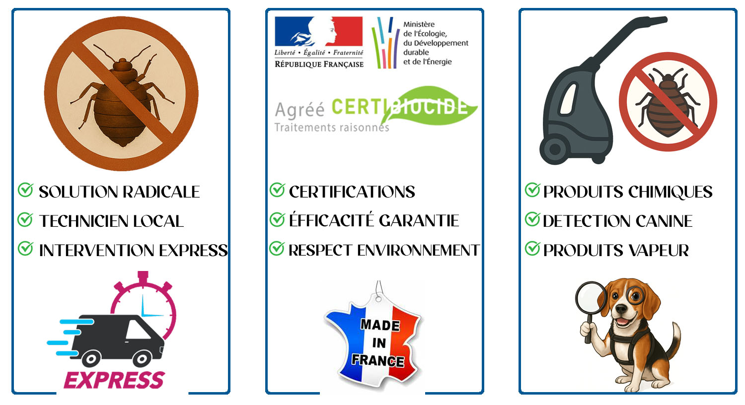 Punaises de Lit Maisse 91720